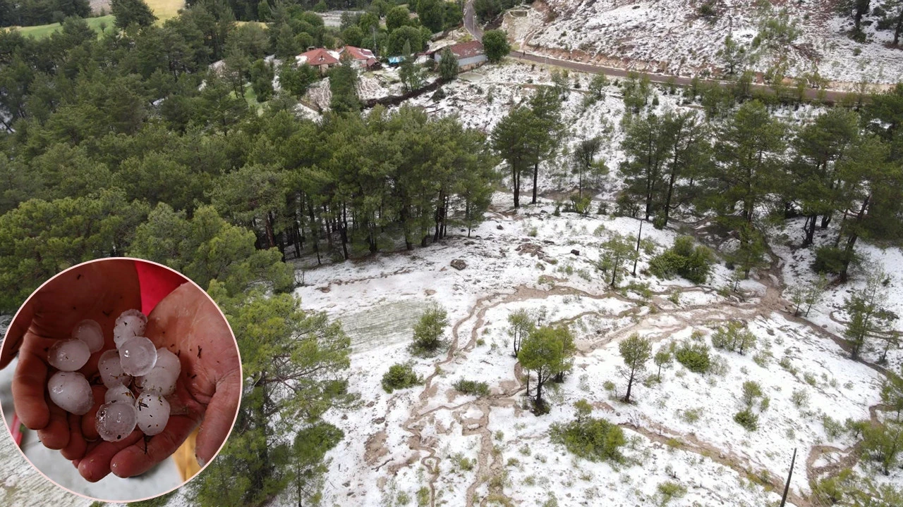 Dakikalar içinde gelen yıkım: Denizli’de üreticinin emeğini dolu vurdu