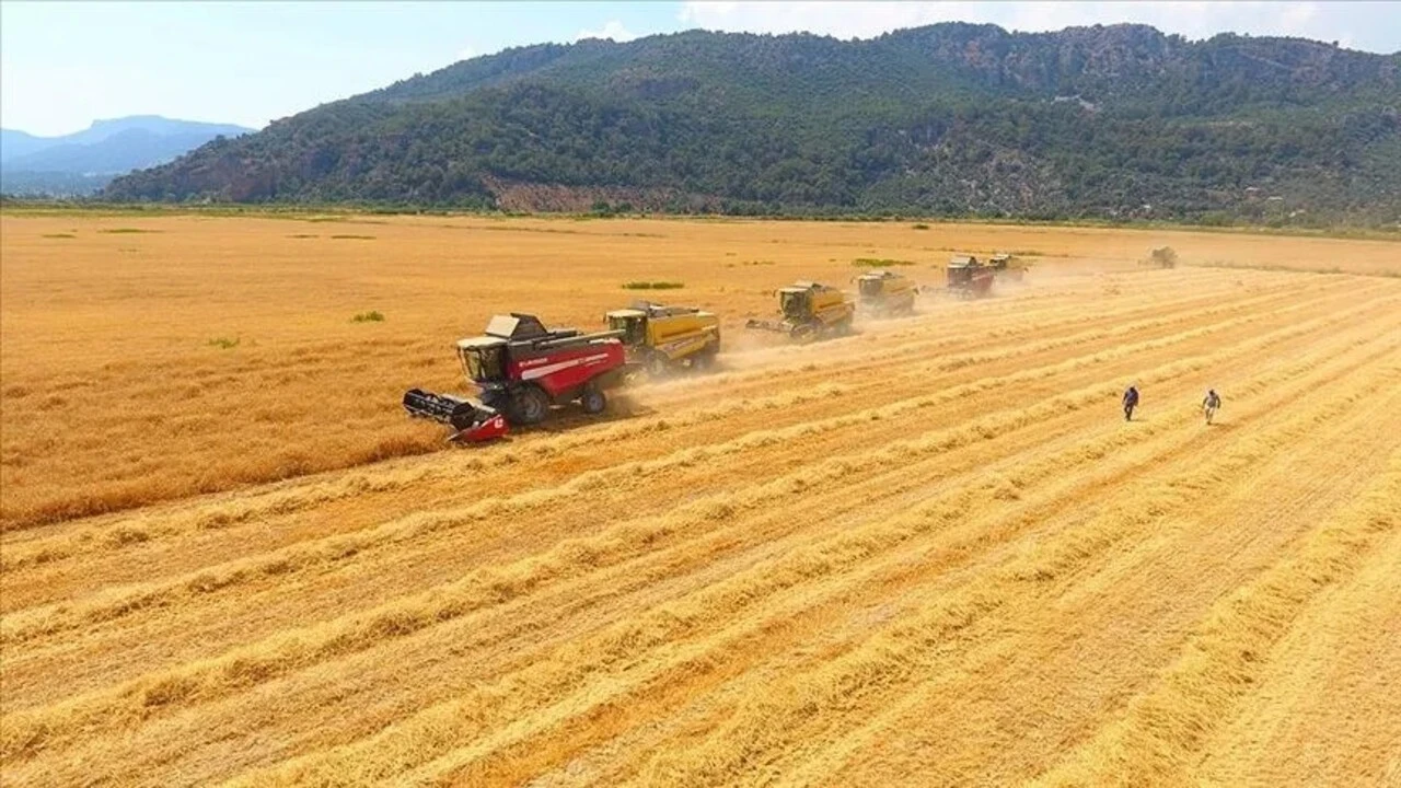 Karadeniz ve Orta Doğu'daki gerilim tarım emtiasını vurdu