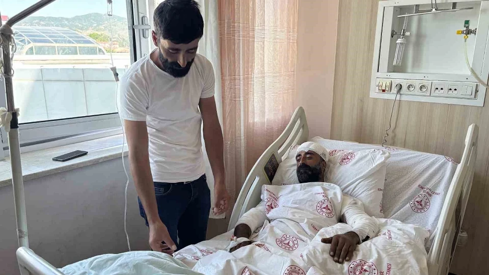 Bingöl Adaklı Ayı Saldırısı: Mantar toplarken 2 yavrulu anne ayıyla karşılaştı | Yaşam Haberleri