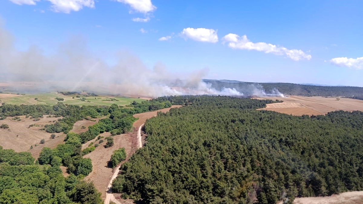 Çanakkale'de tarım arazisinde başlayan yangın ormana sıçradı