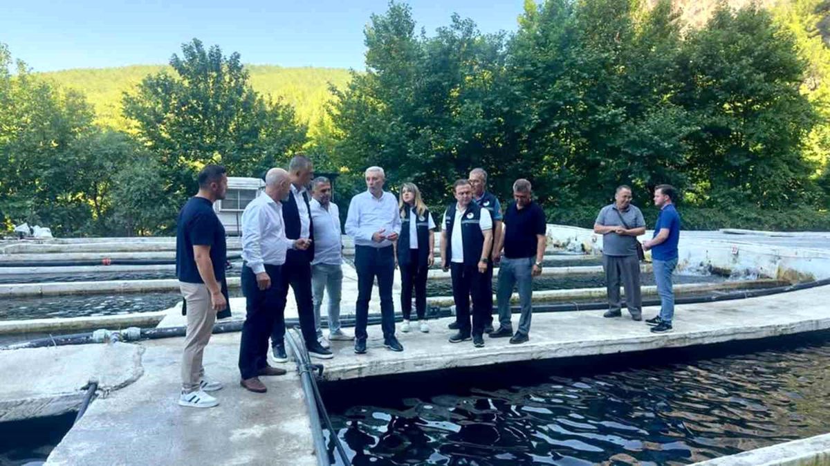Eşen Havzası'ndaki Alabalık tesislerinde sektör değerlendirmesi