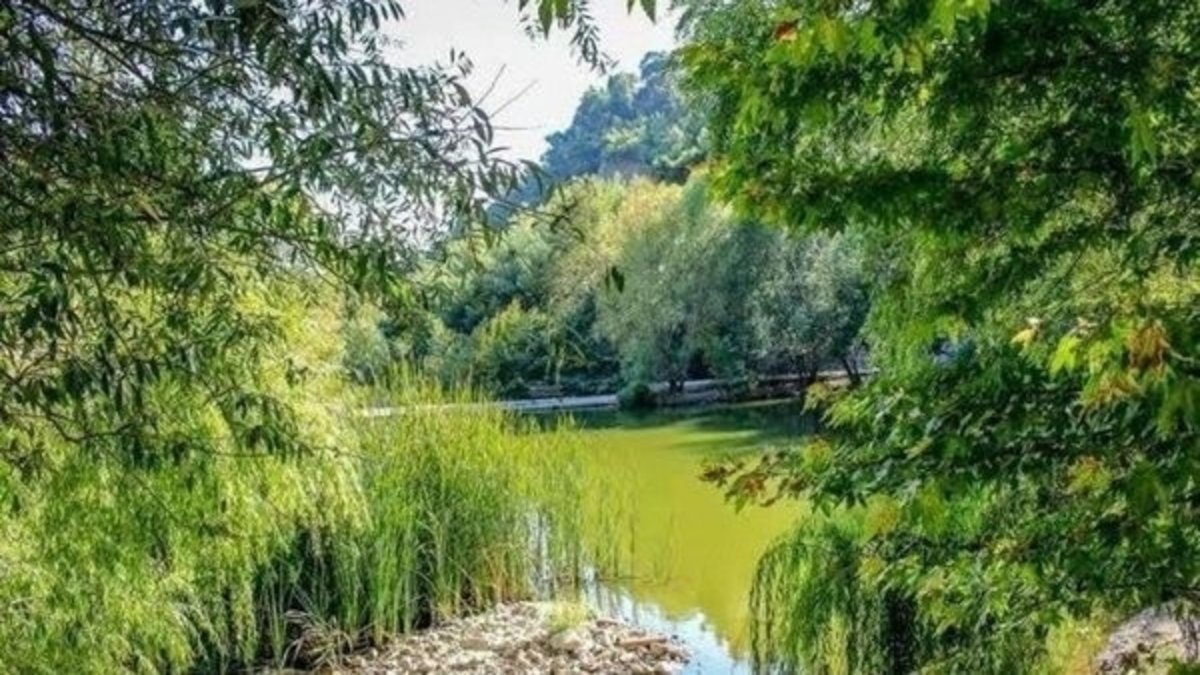 İzmir'de sıcaklar bastırdı! İşte İzmir'in en serin ilçeleri…