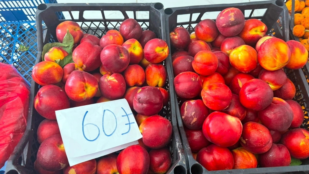Tarlada 15, pazarda 60 TL! Hatay'da şeftali üreticisi isyanda