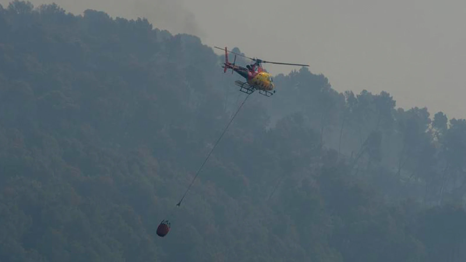 İspanya'da orman yangını: 11 ölü