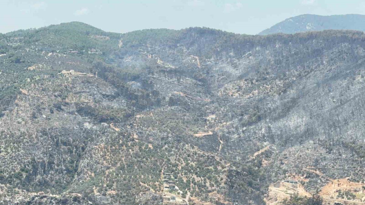 Fethiye'de orman yangını 24 saatte kontrol altına alındı, yeşil örtü küle döndü