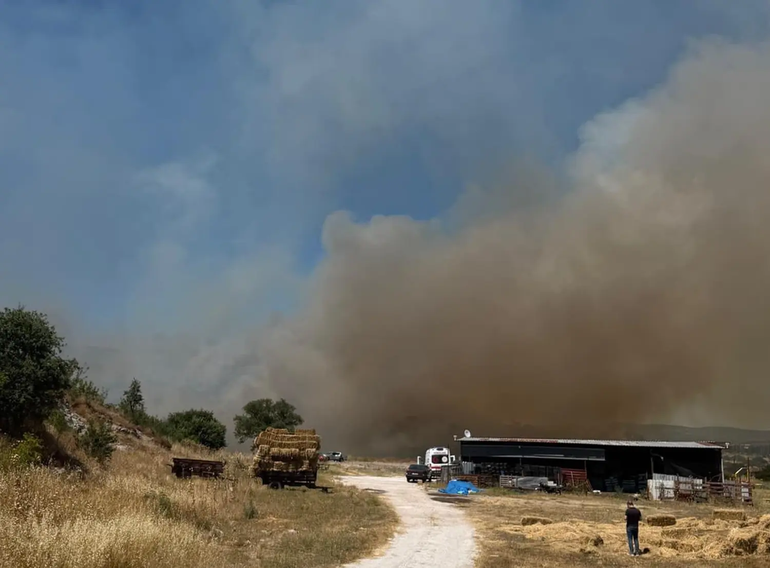 Çanakkale'de bozuk orman alanında yangın: Ekipler müdahale ediyor