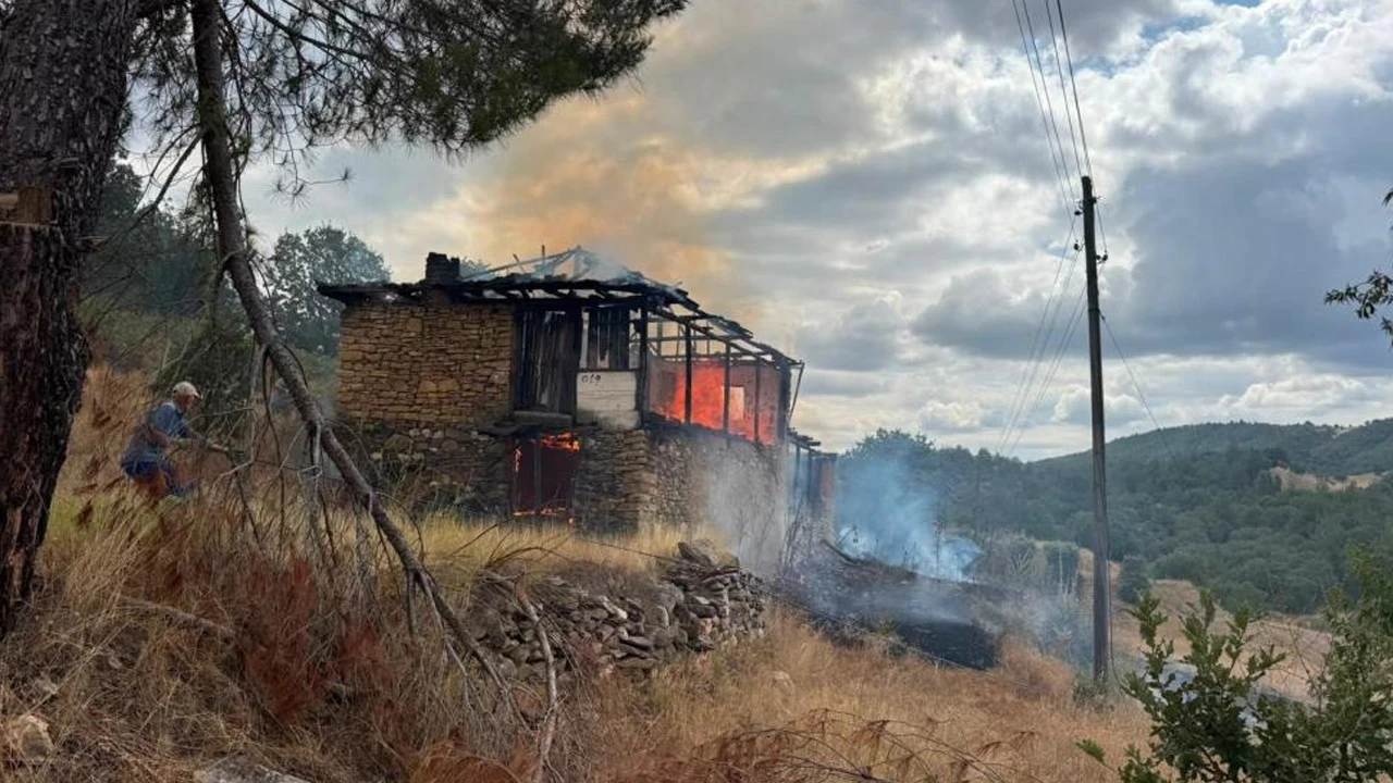 Ahırda başlayan yangın ormana sıçradı: Alevler havadan ve karadan müdahaleyle söndürüldü