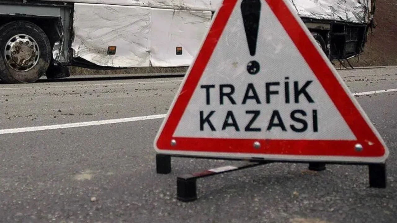 Ağaçlara çarpan TIR'ın sürücüsü hayatını kaybetti