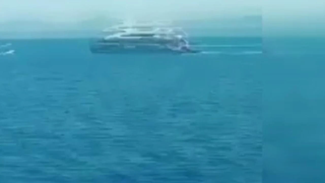 Yolcu gemisi ile yelkenli çarpıştı: 3 ölü, 1 kişi kayıp