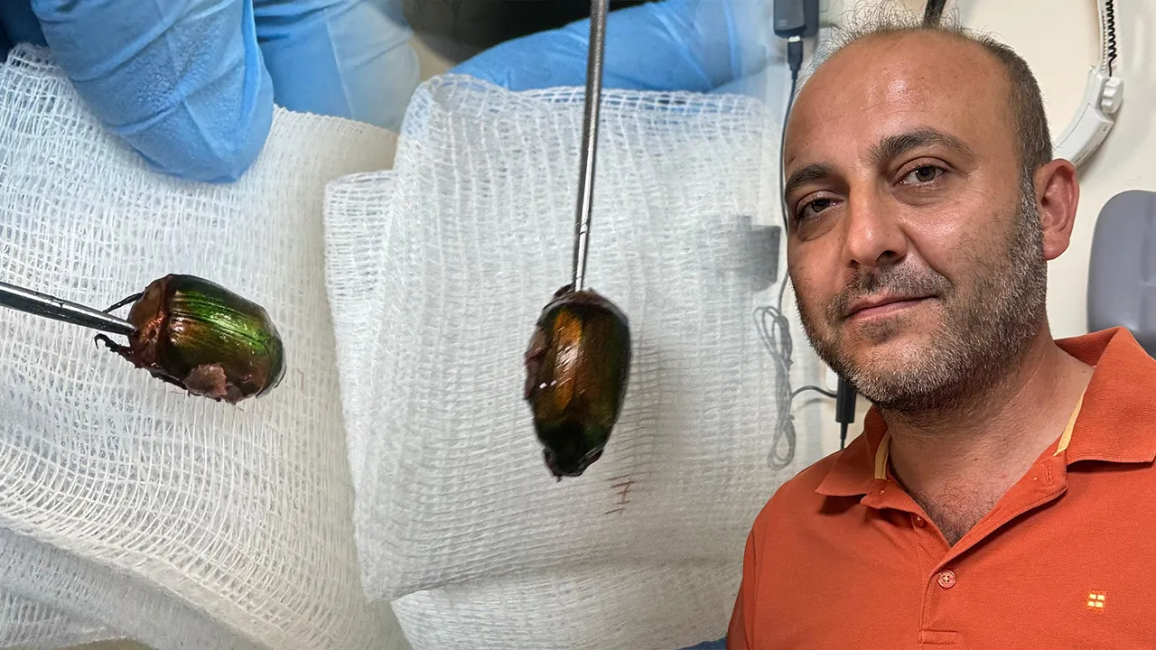 Kulağındaki ağrının sebebi şoke etti! Doktora gidince gerçek ortaya çıktı