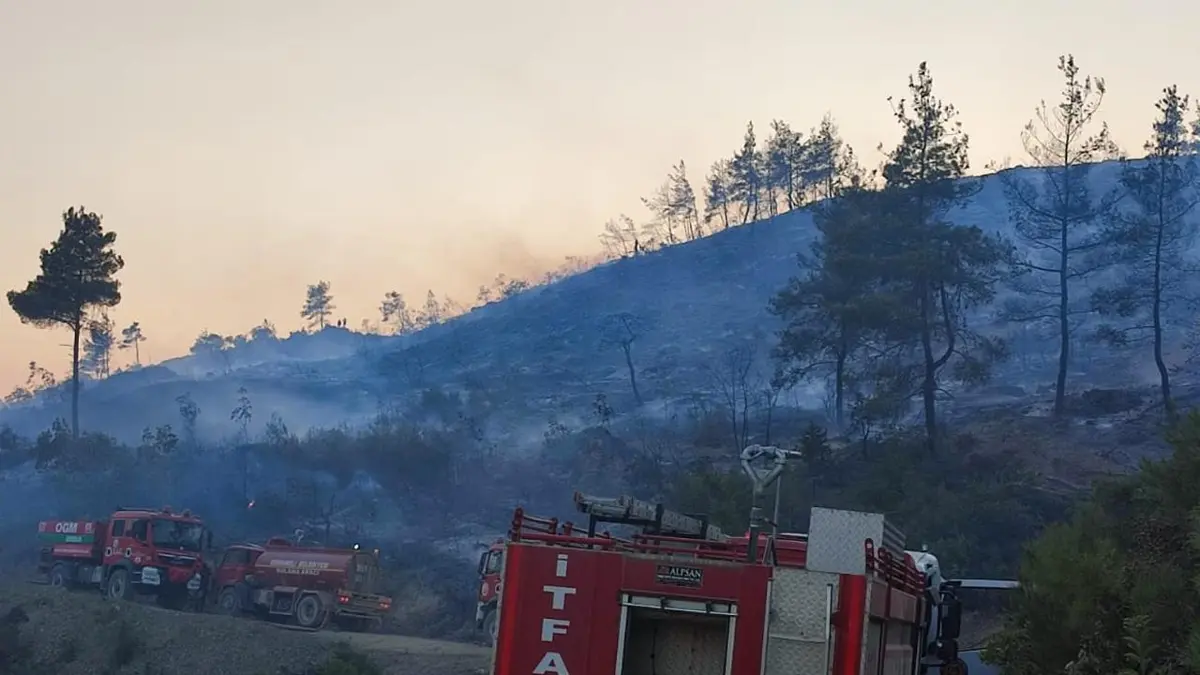 Bilecik'te çıkan orman yangını kontrol altına alındı