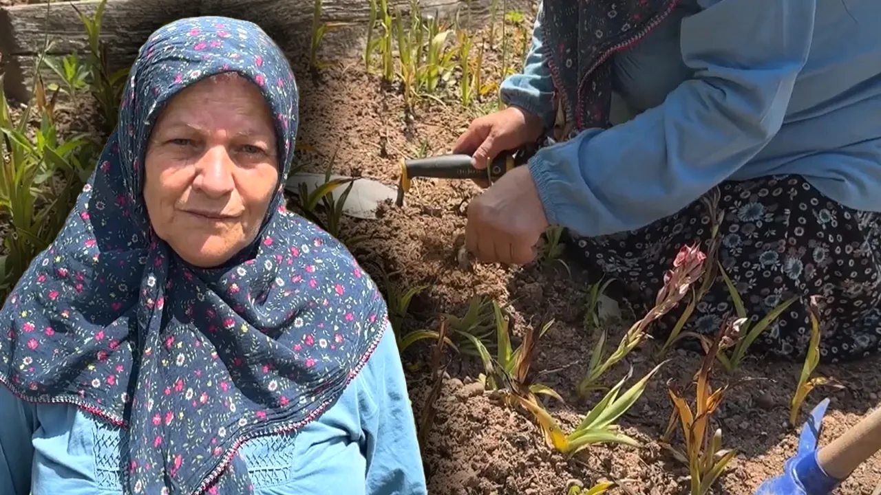 Sosyal medyada gördü, devlet desteğiyle bahçesine ekti! Şimdi kilosunu 10 bin TL'den satıyor