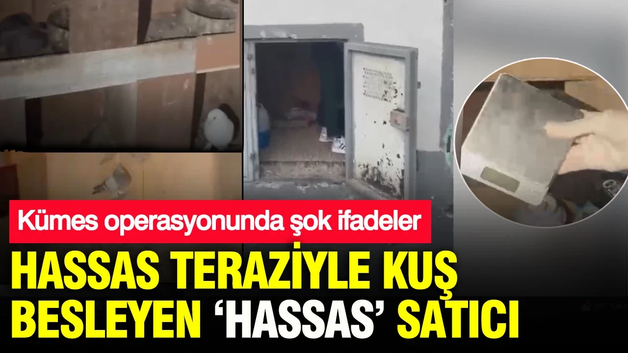 Hassas teraziyle kuş besleyen ‘Hassas’ satıcı: Kümes operasyonunda şok ifadeler