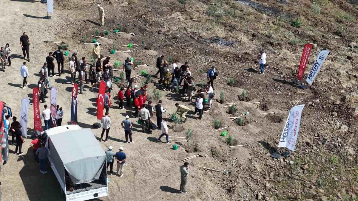 Hatay'da Çocuklarla Geçmiş Yangın Alanına Bin Fidan