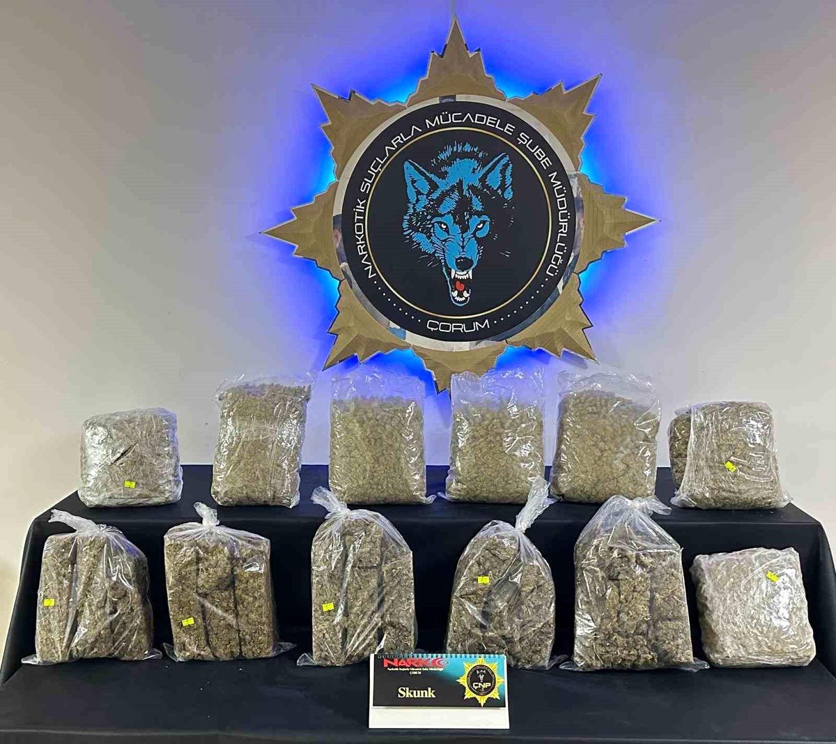 Çorum'da 9 kilo skunk ele geçirildi: 1 tutuklama