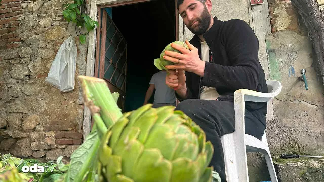 Ne doktor ne mühendis: Enginar soyarak ayda 240 bin lira