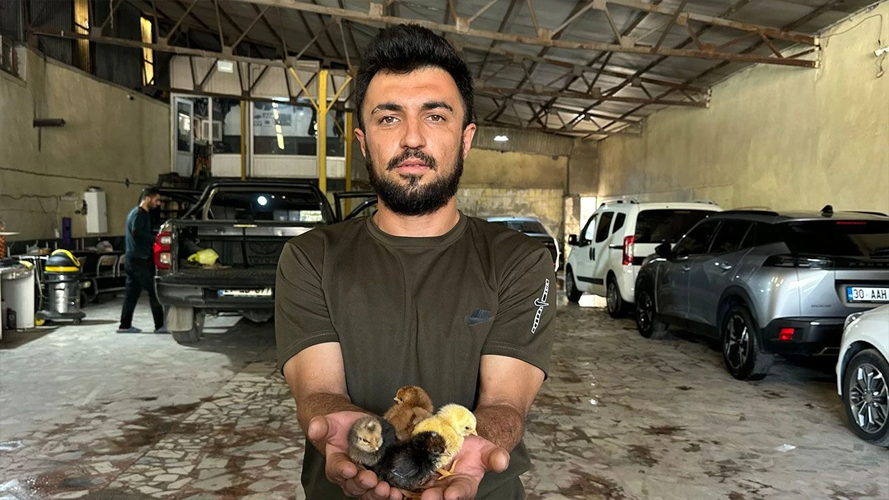 İzlediği belgesel hayatını değiştirdi: Kendi tesisini kurdu