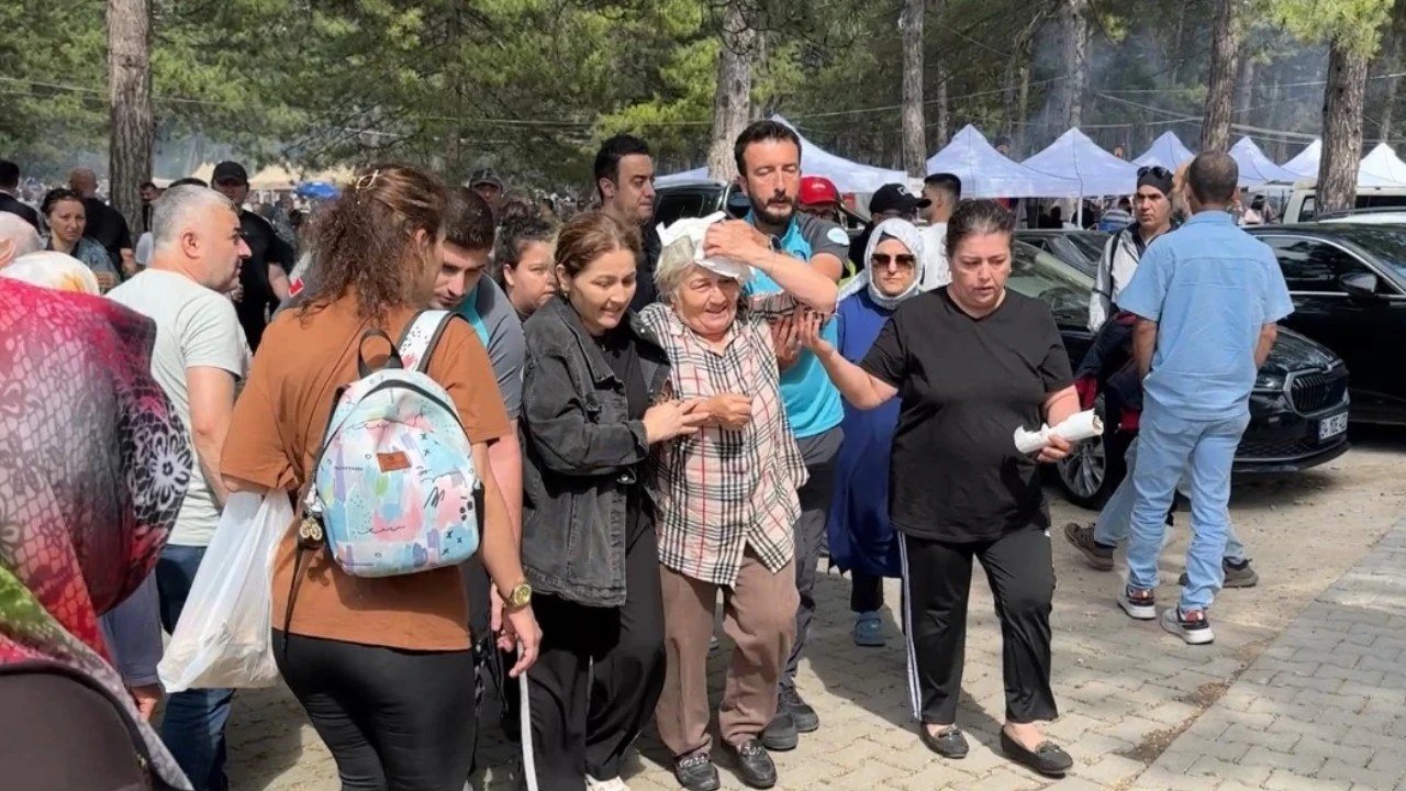 Şenlikte ağaçtan düşen dal yaşlı kadını yaraladı