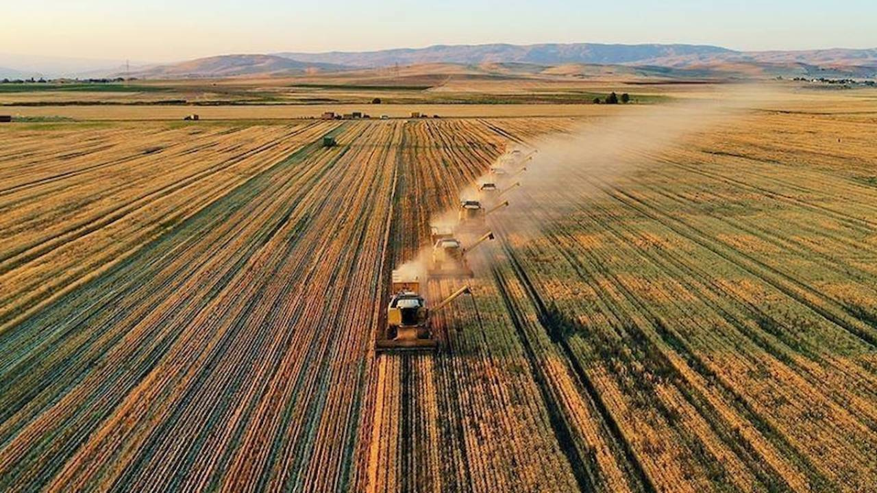 Milyarlarca lira cirosu olan Türk tarım devinden konkordato talebi