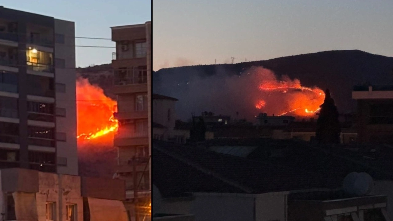 Son Dakika | İzmir'de otluk alanda yangın