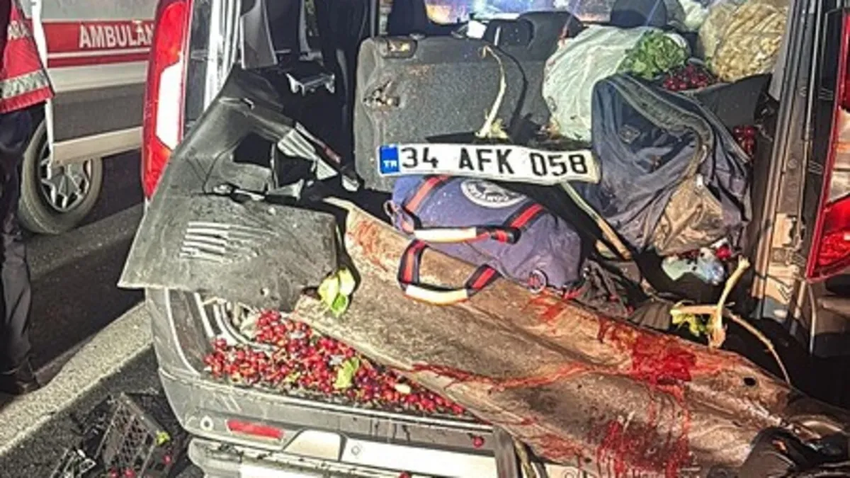 Anadolu Otoyolu'nda ticari araç bariyere saplandı: 1 ölü 3 yaralı