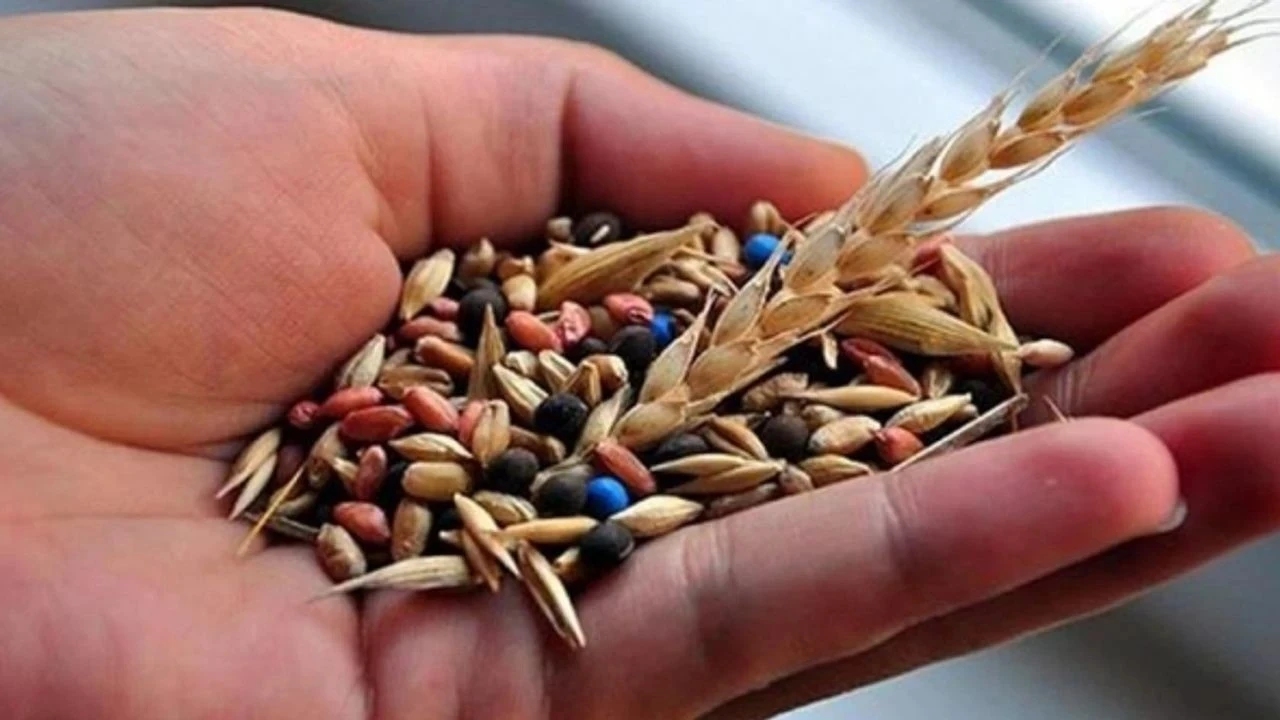 Türkiye, tohum sektöründe dünyada 5. sıraya göz dikti
