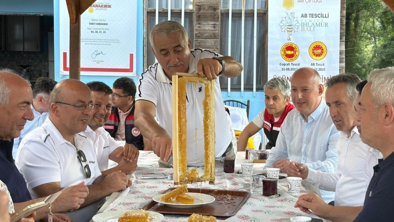 Karabük'ün AB tescilli 'sıvı altını' 1.250 TL'ye satılıyor: Japonlar tadına bakmak için sıra oldu