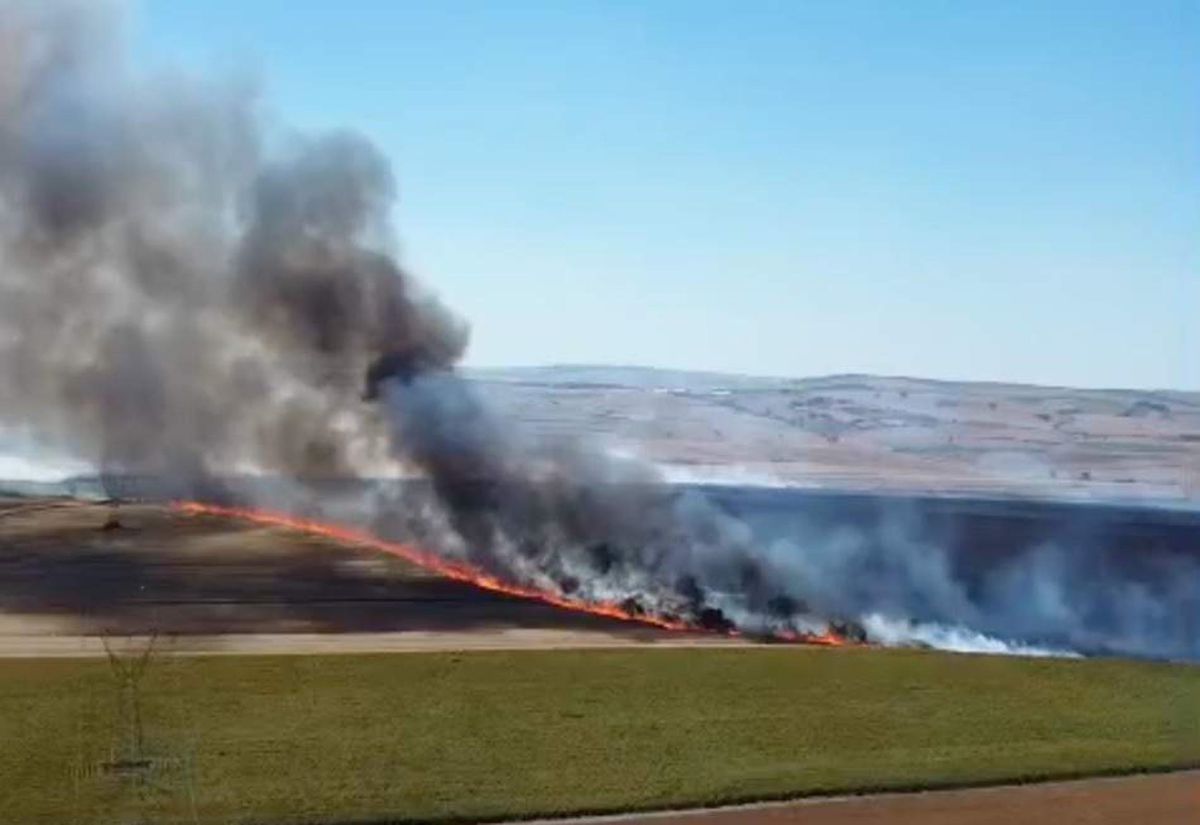 Tekirdağ'da yangında 300 dekar tarım alanı zarar gördü