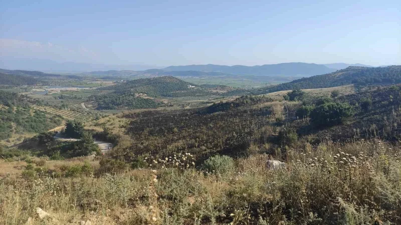 Korkutan orman yangınına havadan ve karadan müdahale