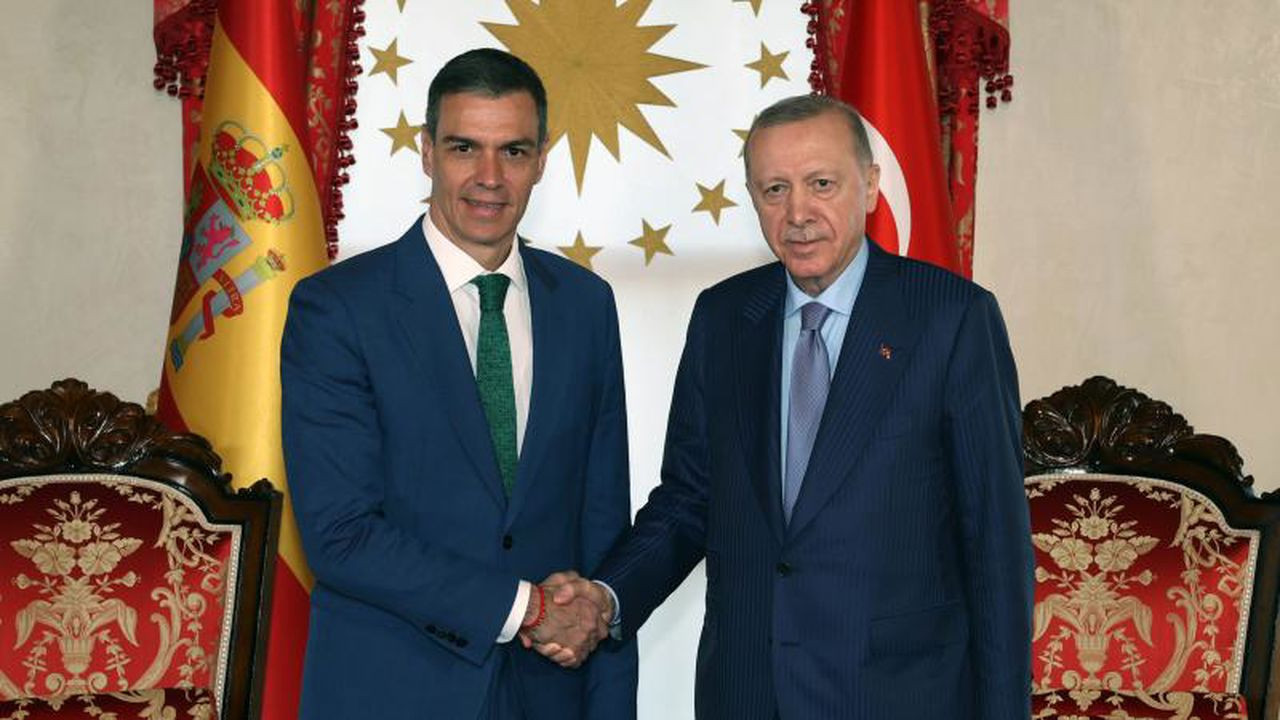 Cumhurbaşkanı Erdoğan, Pedro Sanchez ile görüştü
