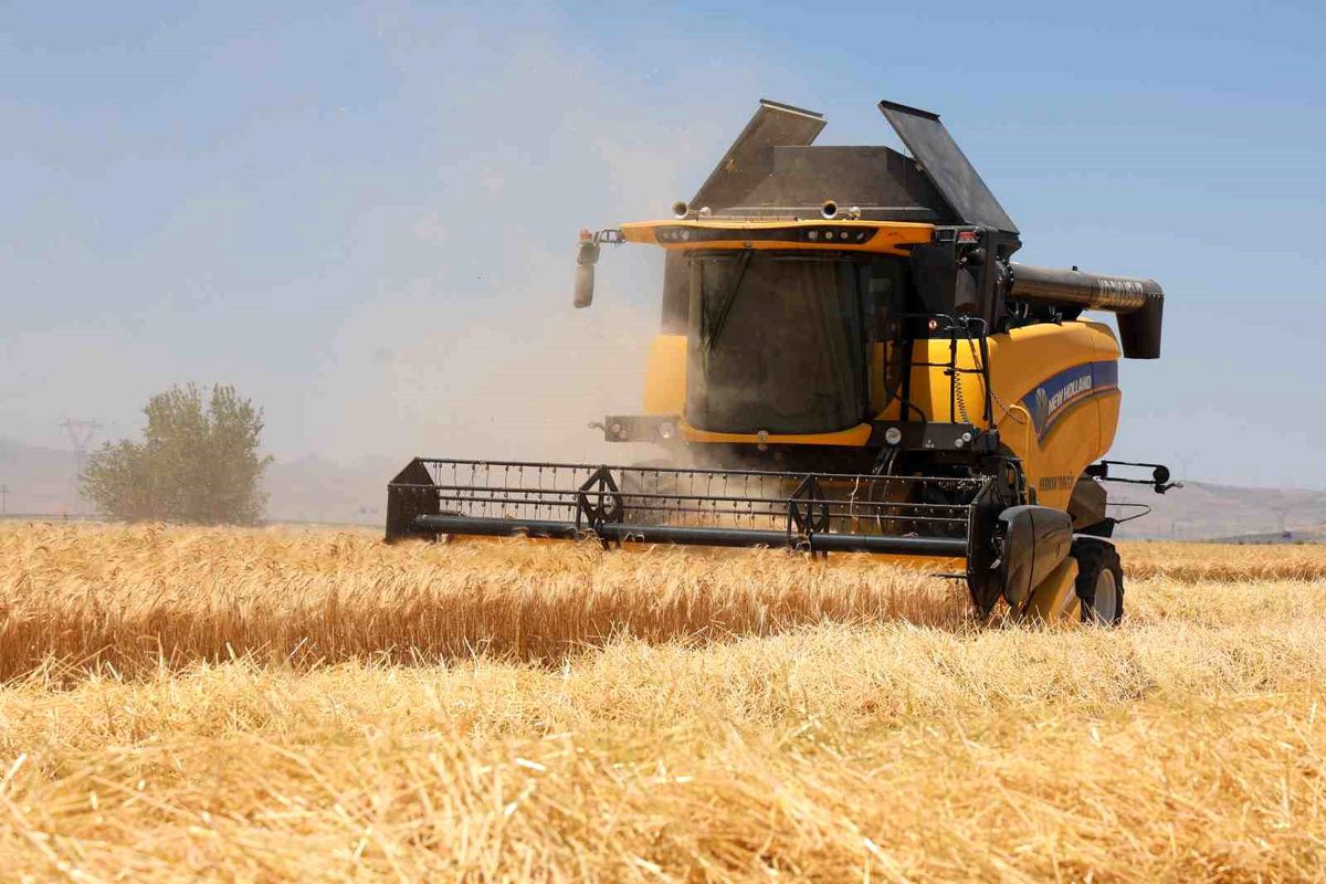 Konya Ovası'nda rekor beklenen hasat sezonu başladı
