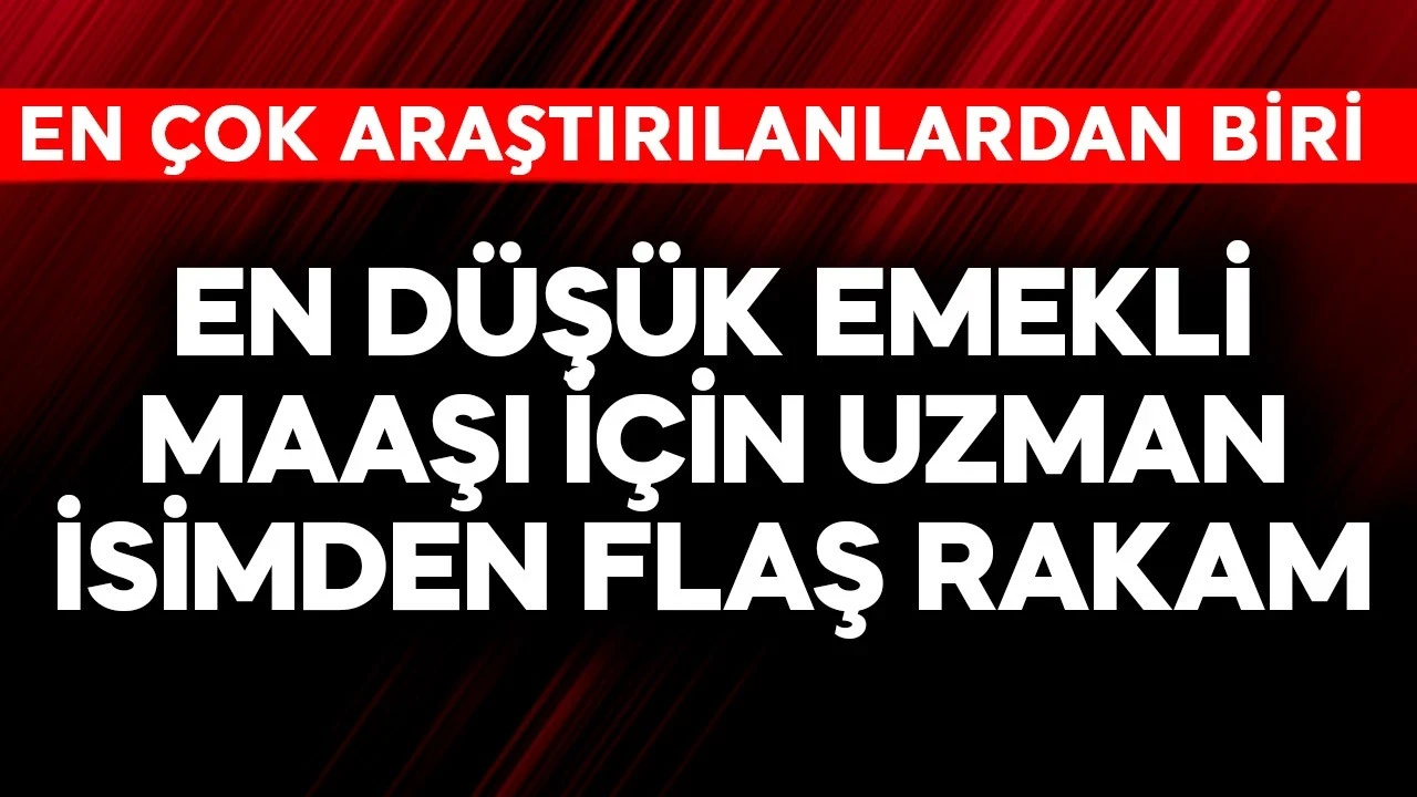 En düşük emekli maaşı için uzman isimden flaş rakam