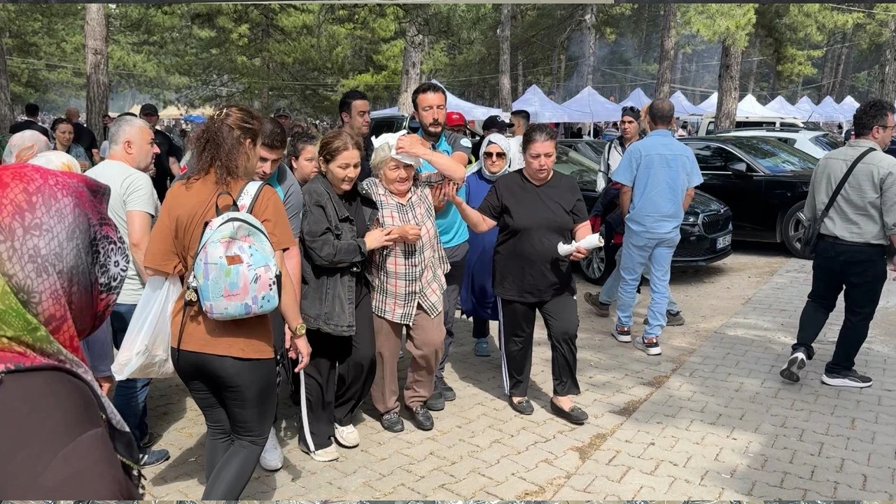 Şenlikte ağaçtan düşen dal yaşlı kadını yaraladı