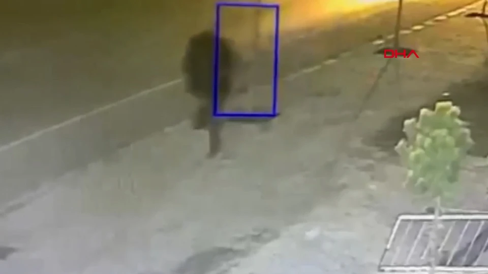 Belediye Fidanlarına Zarar Veren Kişi Operasyonla Yakalandı