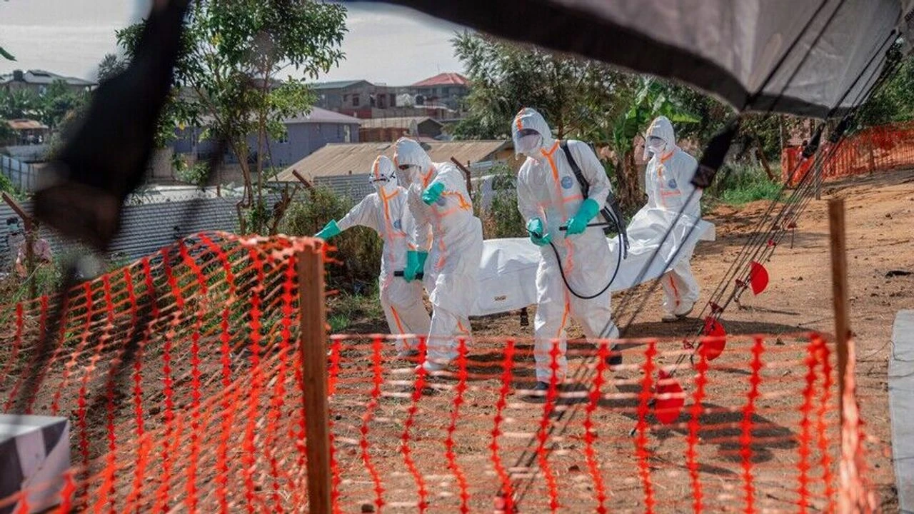 Ebola Kongo'da yayılıyor: Vaka sayısı 1155'e ulaştı