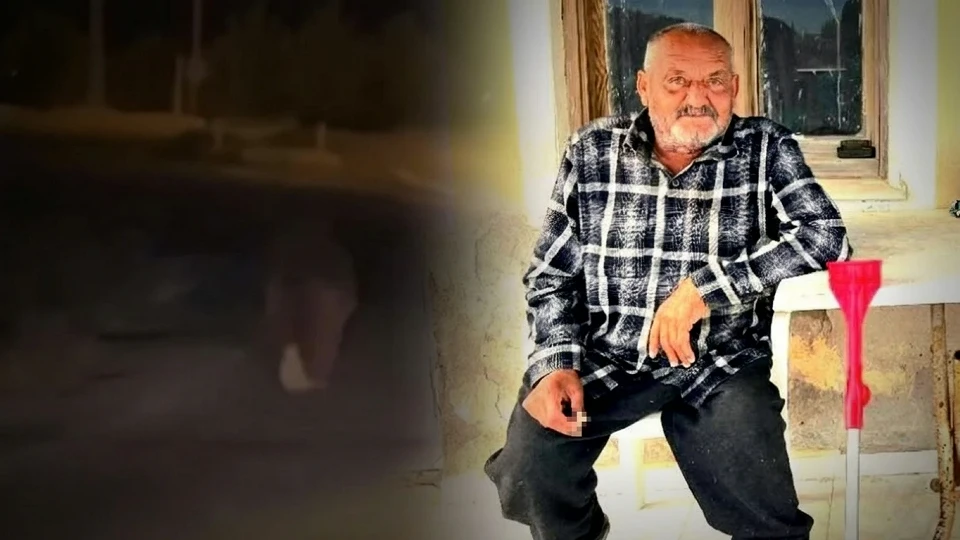 İzmir Seferihisar ayı saldırısı: 70 yaşındaki adam evinin balkonunda uyurken can verdi