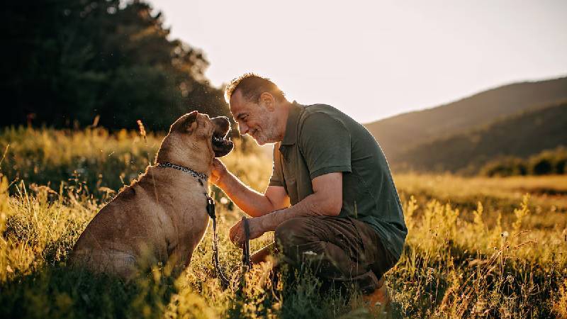 Çarpıcı araştırma: Köpek sahibi olmak ömrü uzatıyor mu?