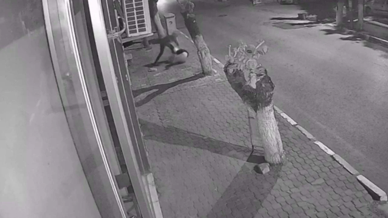 18 yıl 8 ay ceza almıştı! Betül’ü bıçaklayan sanığa tahliye kararı