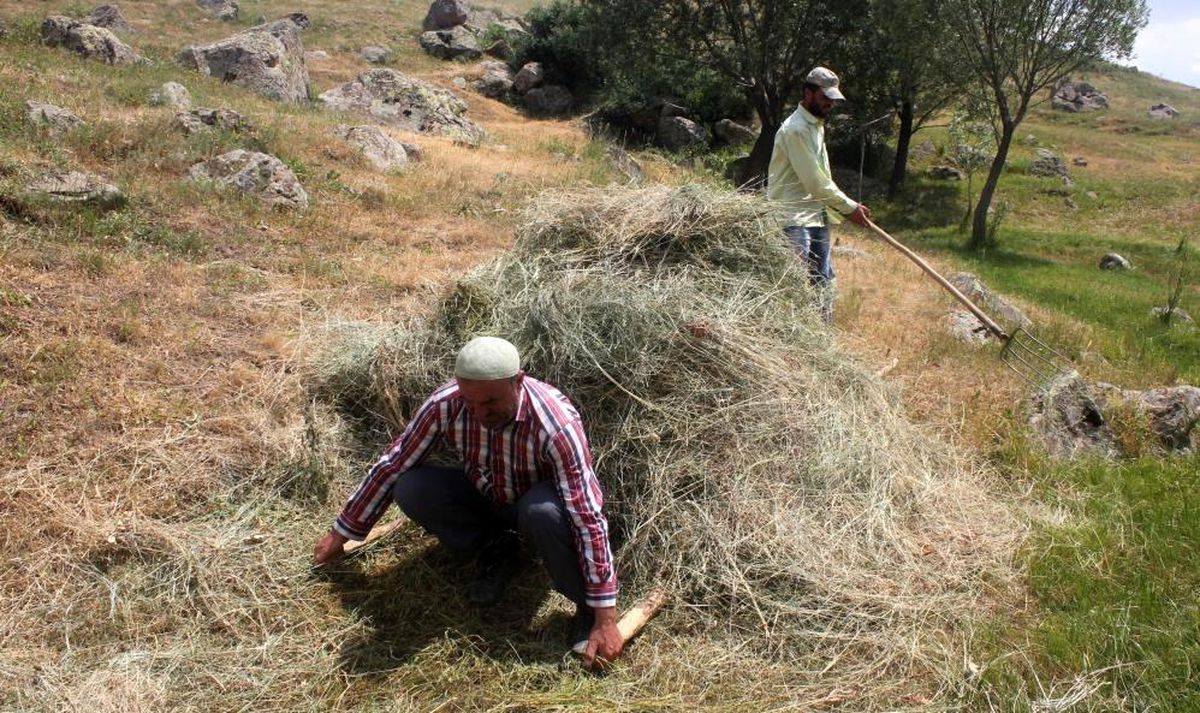 Erzincan'da vatandaşların kış hazırlığı