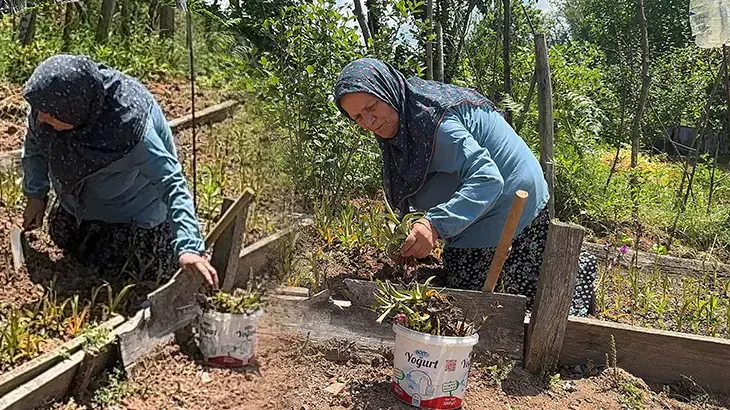 Sosyal medyada gezerken hayatının fırsatını yakaladı! Köyüne döndü, özel izinle ekti