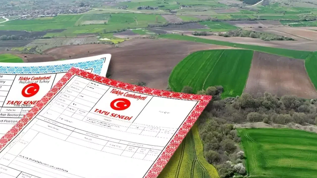 Yargıtay'dan tarihi karar! Bakma sözüyle arsayı kapmıştı! Dede, sözünü tutmayan torundan intikam aldı