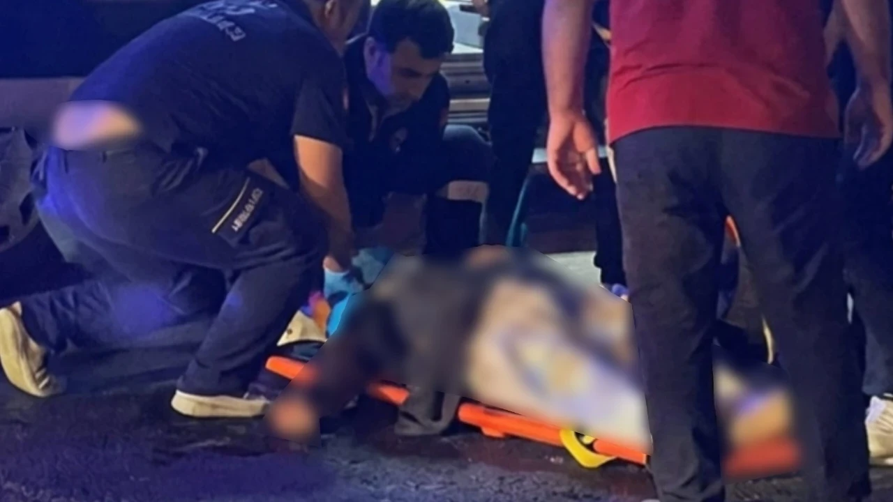Yolun karşısına geçerken hayatını kaybetti