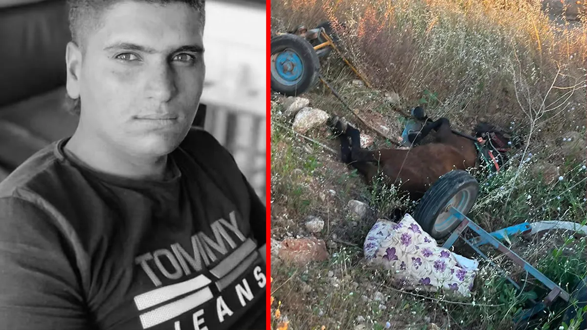 Şanlıurfa’da acı kaza! Minibüs at arabasına çarptı: Ölü ve yaralı var!