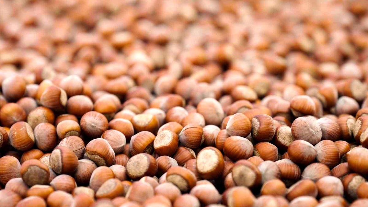 Ferrero 17. Sürdürülebilirlik Raporu'nu yayımladı