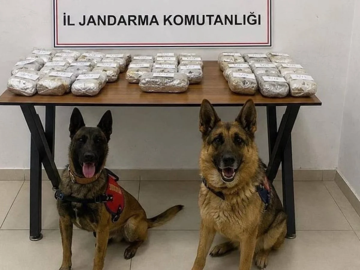 Hakkari'de 21 kilo 650 gram toz esrar ele geçirildi