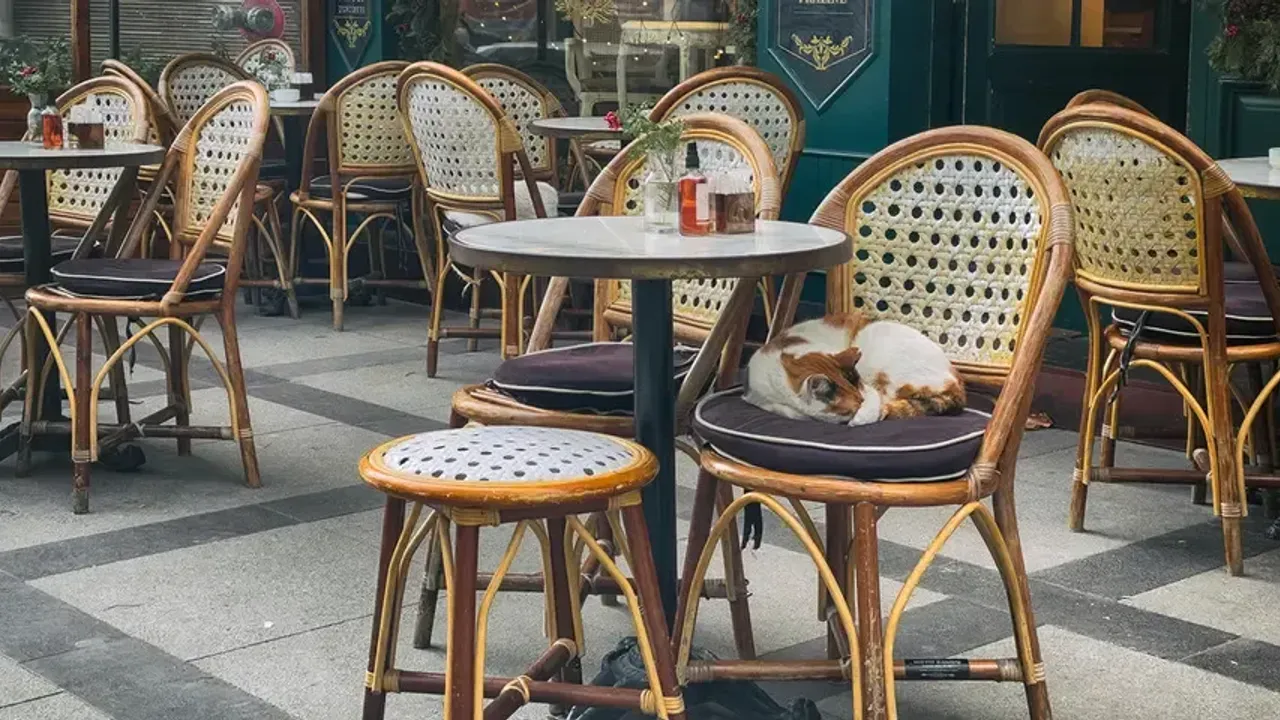 Restoran ve kafelerde bir dönem bitiyor: Teras ve bahçeler de dahil edilecek!
