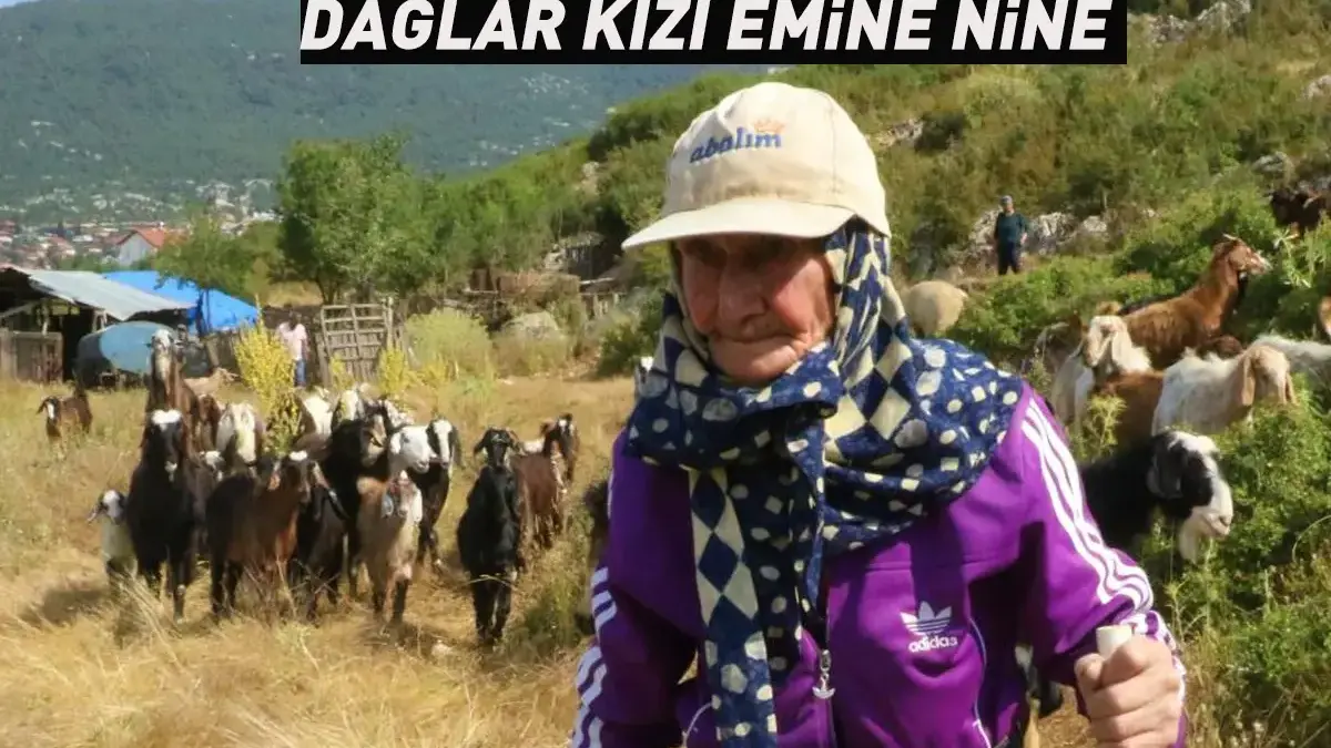 Dağlar kızı Emine Nine! 94 yaşında, 90 yıldır dağlarda...