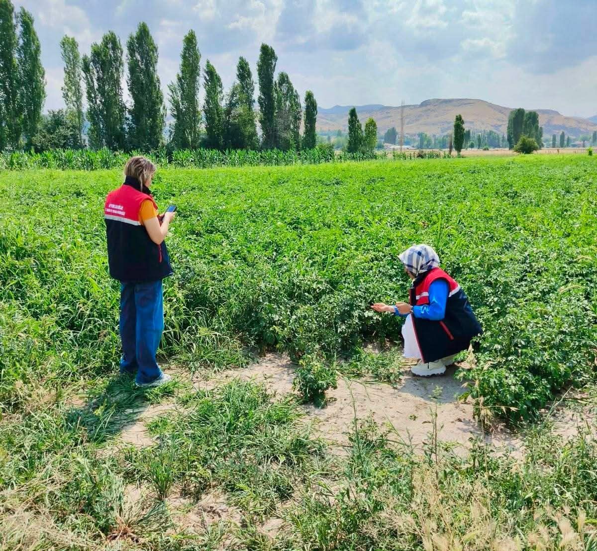 Afyon'da tarım arazisi denetimleri sürüyor