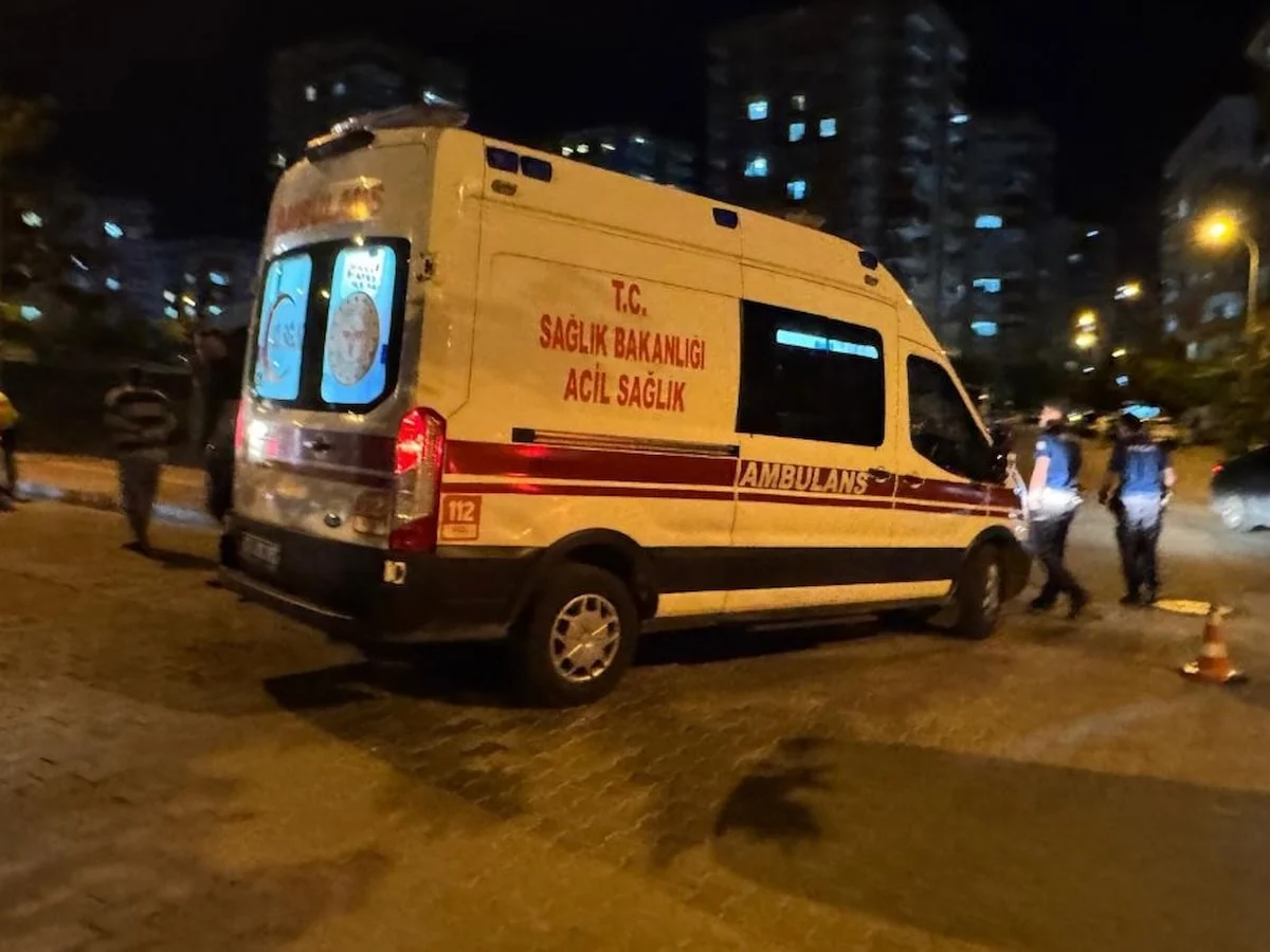 Şanlıurfa'da silahlı kavga: Anne öldü, oğlu yaralandı
