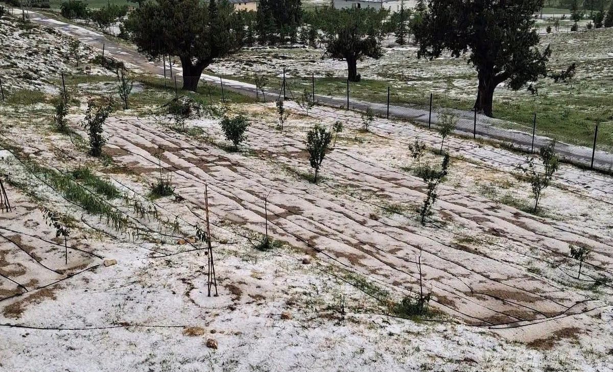 Mersin Erdemli'de dolu tarım alanlarına zarar verdi